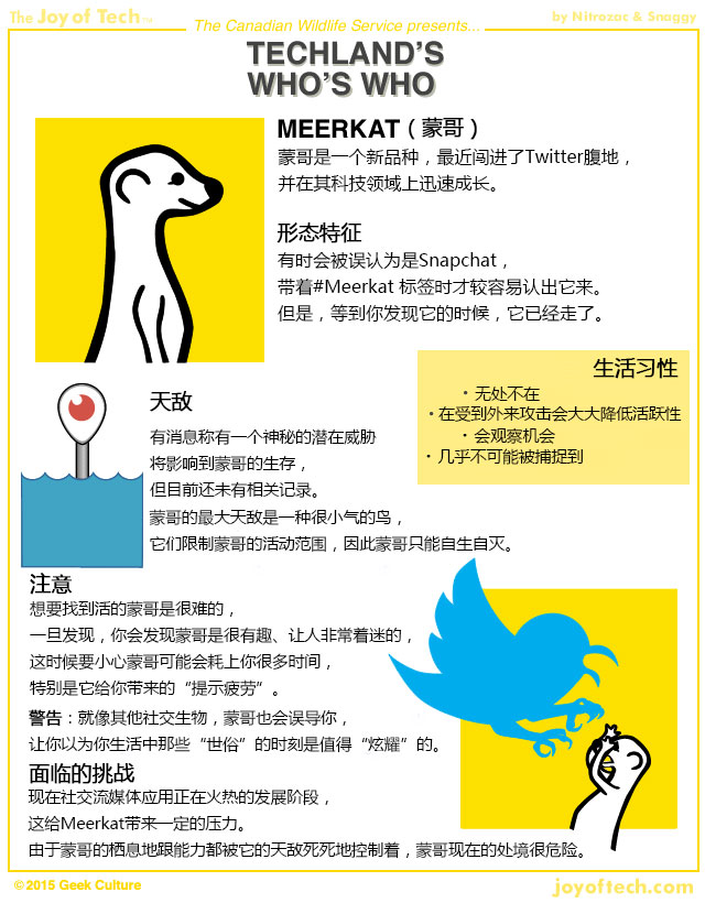 不和你玩了，Twitter封殺直播應(yīng)用Meerkat