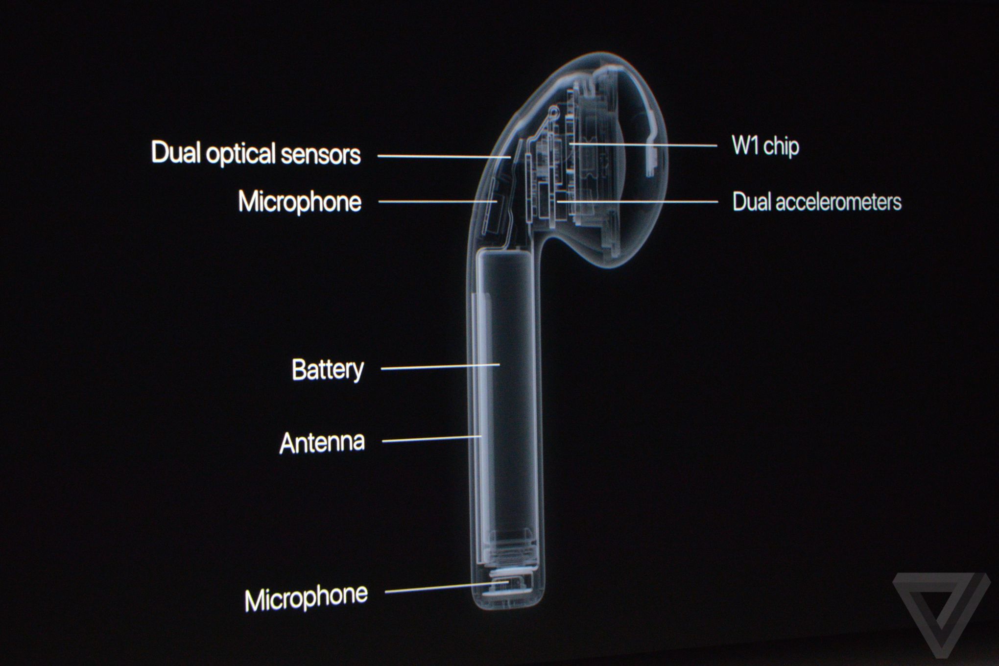 科客晚報：iPhone 7預(yù)售開始 張震確認(rèn)為OPPO代言